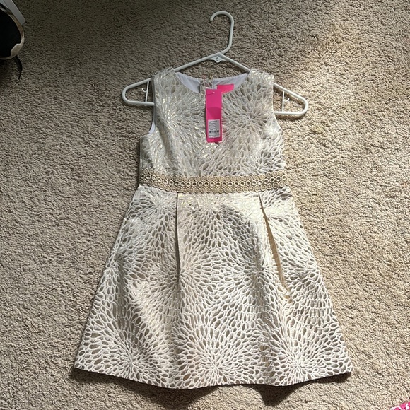 NWT Lilly Pulitzer Abriana Dress Size 10 - Picture 2 of 4